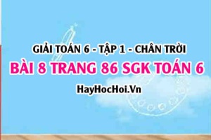 Giải bài 8 trang 86 Toán 6 Tập 1 SGK Chân trời sáng tạo